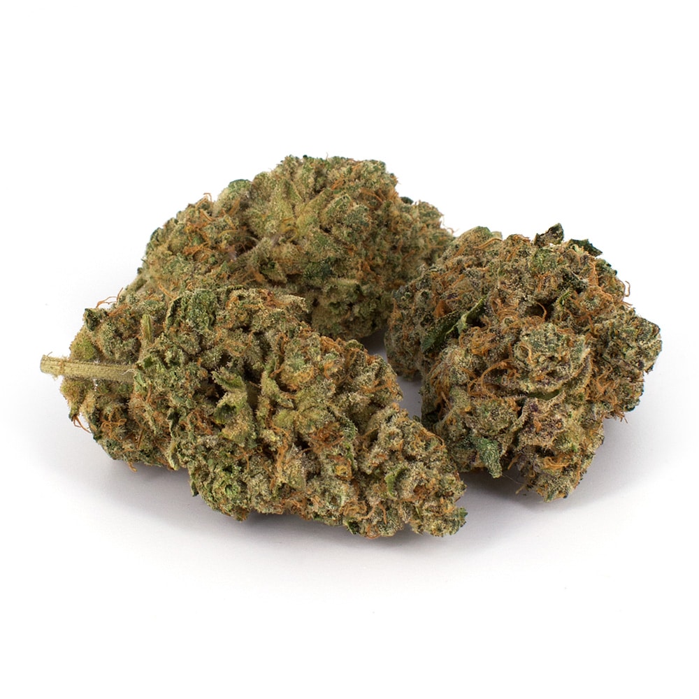 Fruity Pebbles Strain of Marijuana - Weed - Cannabis - Herb - Herb