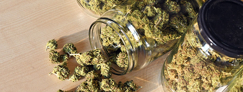 Dry and trimmed cannabis buds stored in a glass jars. Buy weed in canada. Learn how to roll a joint in this step by step guide.
