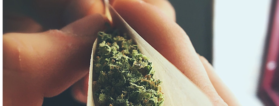 rolling a joint. buy weed online canada.