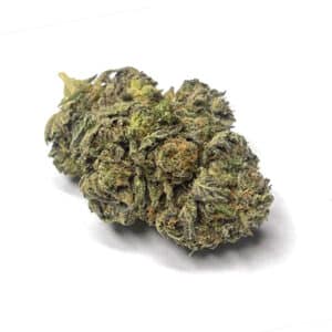 Grease Monkey (AA)