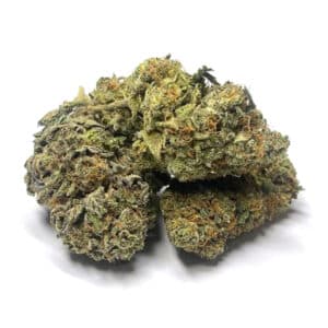 Alternative view of Grease Monkey (AA)