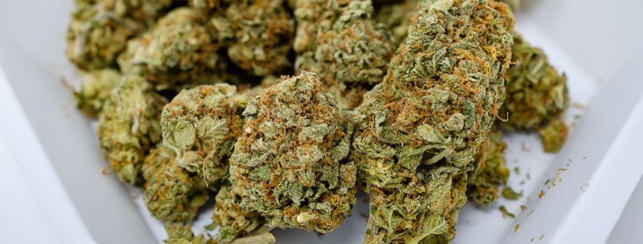 weed online in canada mail order-where to buy weed online in canada