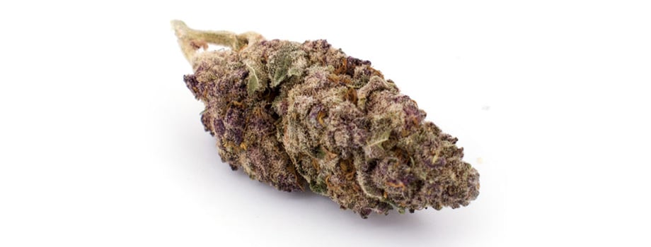 grand daddy purple indica strain buy weed online in canada.