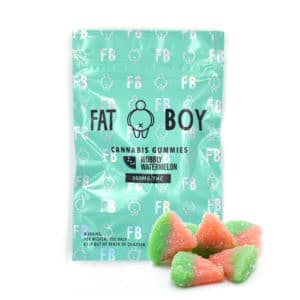 fat boy wobbly watermelon 1