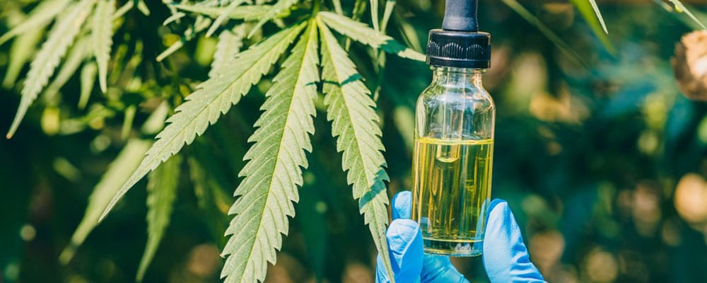 CBD oil that can be used to treat arthritis.