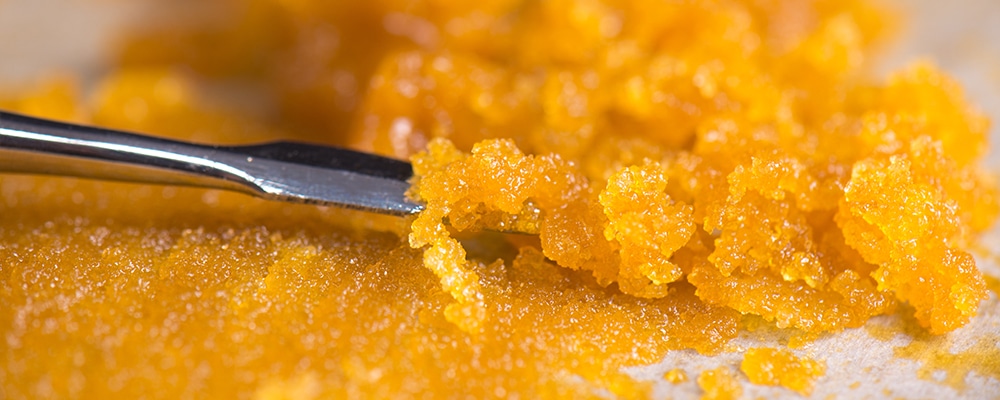Macro detail of cannabis concentrate live resin (extracted from medical marijuana) with a dabbing tool
