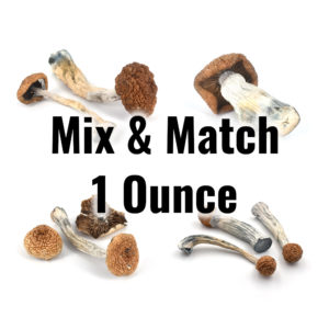 mixmatch mushrooms 1oz4strains 1
