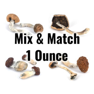 mixmatch mushrooms 1oz4strains 2