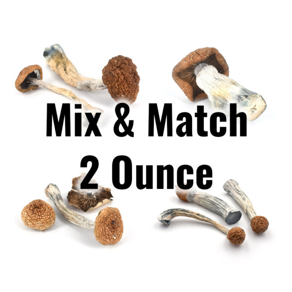 mixmatch mushrooms 2oz4strains 1