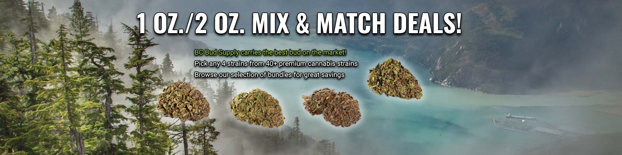 1 2oz mixmatch banner desktop