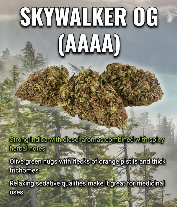 banner skywalkerog4a mobile 1
