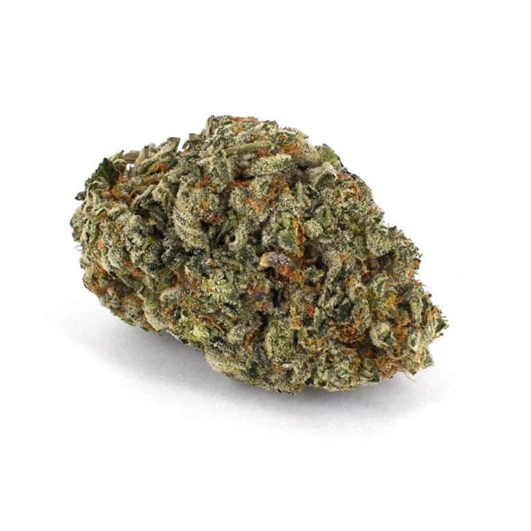 Frosted Gelato (AAAA) BC Bud Supply