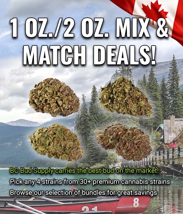 banner 1 2oz mixmatch mobile 2