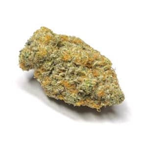 White Guava (AAAA)