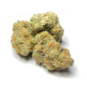Alternative view of White Guava (AAAA)