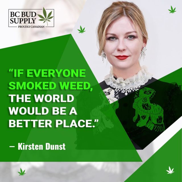 "If everyone smoked weed, the world would be a better place." -Kirsten Dunst⁠
⁠
#bcbudsupply #kirstendunst #blazedbeauty #kirstendunstfans #weedquotes #blazedbeauties #blazedbabes #marijuana #bcbud #ganjagirl #weedpraylove #weedculture #kirstendunstedit #cannabiscuties #weedchicks #cannabis #weed #marijuanababes #mailordermarijuana