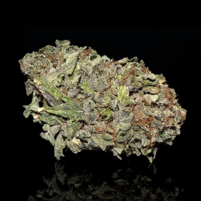 Purple Kush is an incredibly popular indica that is sure to catch your eye. Bred with Hindu Kush and a purple-tinged variety of Afghani, Purple Kush eases you into a relaxing physical buzz that leads you to a slightly psychedelic euphoric ride. Its beautiful nuggets of deep green and purple have a relatively high THC composition, making it perfect to help relieve chronic pain, depression, and insomnia. 💜⁠
⁠
#bcbudlife #weed #ganjalovers #cannabis #weedporndaily #cannabisislove #blazedout #bcbud #marijuanagram #weedpraylove #inhale #marijuanacommunity #ganjaburn #marijuana #cannabisgrow #mailordermarijuana #canadacannabis #budporn #smokeweed #weedsociety #cannabismedicinal #weedcommunity