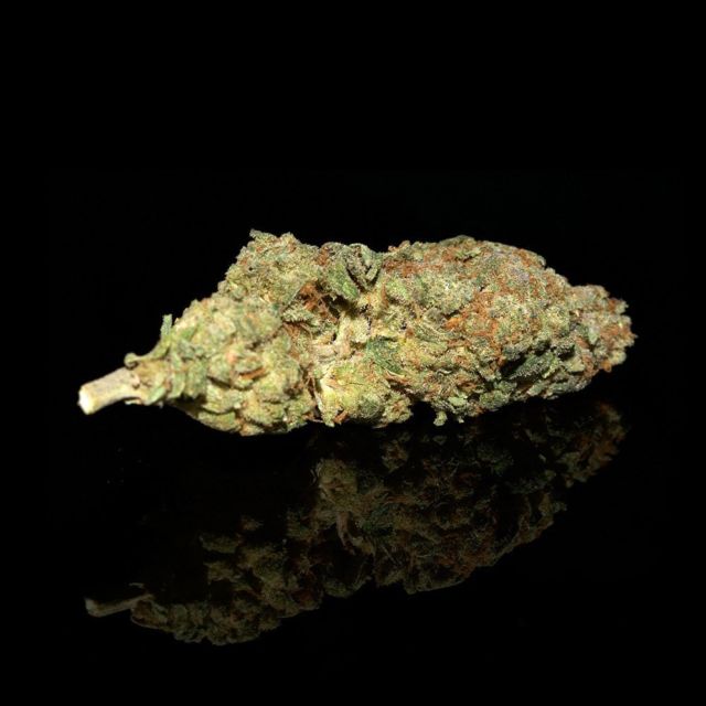 Trainwreck is your one-way ticket to cerebral euphoria that can help stimulate creativity. This sativa-leaning hybrid continues its ride sending cargo loads of relaxing sedation down your body that can help ease pain and stress. Its citrus and pine profile is a treat that can be enjoyed when you’re ready to relax. ⁠
⁠
#bcbudsupply #trainwreck #marijuanalife #weedpraylove #weedlifestyle #bcsbestbud #smokeit #bcbud #weeds #weed #budporn #highaf #weedfeed #cannabispics #weedmemes #marijuanaman #cannabis #weedporndaily #marijuana #marijuanapictures #bcbudmedical #cannabis420 #mailordermarijuana #marijuanaindustry