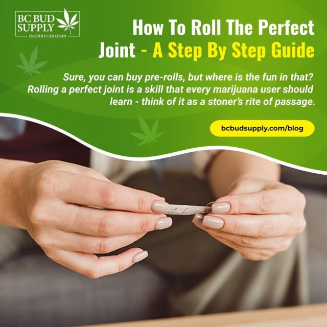 How To Roll The Perfect Joint- A Step By Step Guide⁠
⁠
Sure, you can buy pre-rolls, but where is the fun in that? Rolling a perfect joint is a skill that every marijuana user should learn - think of it as a stoner’s rite of passage.⁠
⁠
Read more by visiting our blog (link in bio) or go here:⁠
https://bit.ly/3vr6JYj