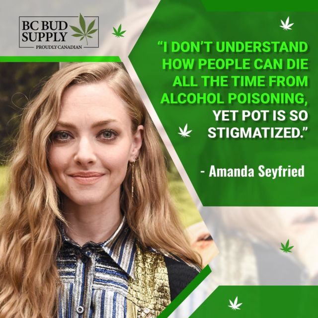 "I don’t understand how people can die all the time from alcohol poisoning, yet pot is so stigmatized." -Amanda Seyfried⁠
⁠
#bcbudsupply #amandaseyfried #weedquotes #ganjagoddess #marijuana #blazedbeauty #weed #blazedbitches #cannabis_cuties #marijuanababes #cannabis #cannabiscuties #weedchicks #bcbud