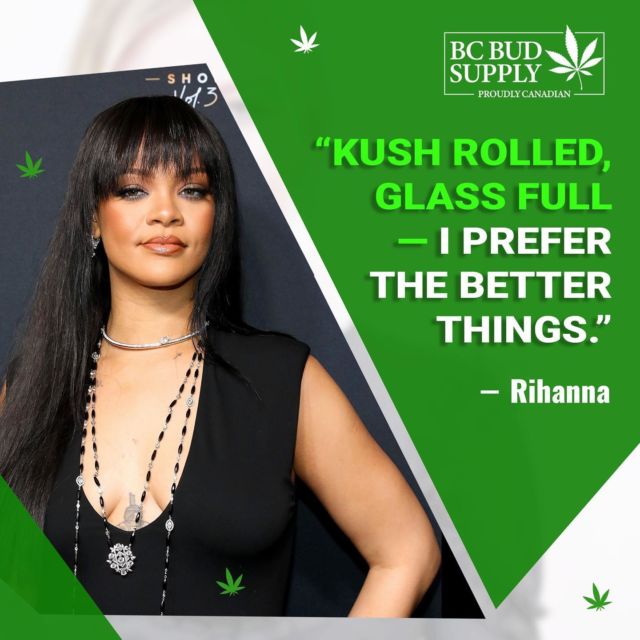 "Kush rolled, glass full — I prefer the better things." -Rihanna⁠
⁠
#bcbudsupply #rihanna #marijuana #weedquotes #mailordermarijuana #cannabisconnoisseur #blazedandamused #bcbud #weed #cannabissociety #ganjagirl #weedchicks #marijuanababe #blazedbitches #cannabis #cannabiscuties #blazedbabes