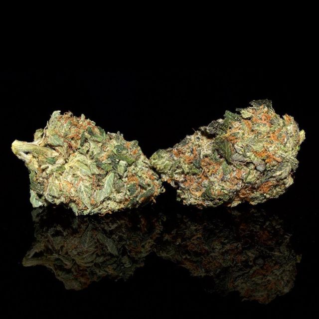Pink Kush is a popular indica-leaning hybrid that provides deep relaxation that can relieve stress, anxiety, and physical pain. Said to include OG Kush in its lineage, Pink Kush sends smokers into cerebral euphoria that wraps the body in an almost overwhelming physical high. Its earthy and sweet vanilla profile is best enjoyed at night due to the strain’s potency.⁠
⁠
#bcbudsupply #pinkkush #marijuanamovement #bcbudd #weed #bcbudmedical #bcbudstrong #cannabisclub #ganjalife #marijuanaismedicine #weedporndaily #budporn #marijuana #marijuanalovers #bcbud #weedmemes #mailordermarijuana #bud #cannabissociety #marijuanalife #cannabis #weedculture #ganjagang #ganjafriend