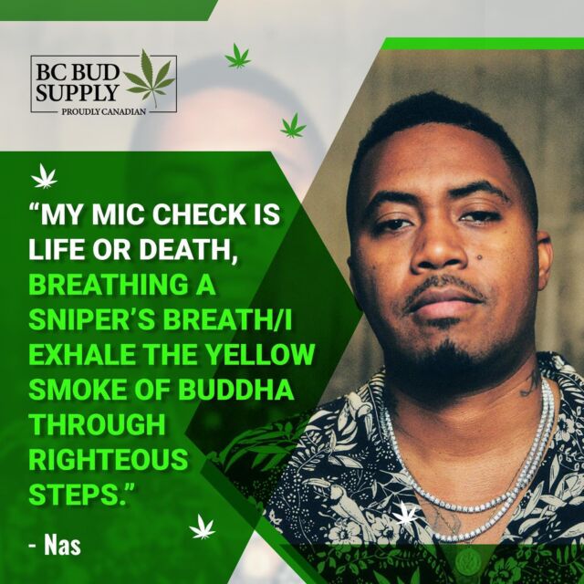 "My mic check is life or death, breathing a sniper’s breath/I exhale the yellow smoke of Buddha through righteous steps" -Nas⁠
⁠
#bcbudsupply #nas #nasirjones #hiphop #weedquotes #rap #illmatic #cannabissociety #bcbud #chronic #marijuana #inhale #bcbudcanadacannabis #weed #cannabis #highaf