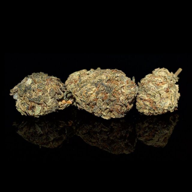 If you’re looking for something with a powerful calm that can ease stress, anxiety, and cradle you into a restful slumber, Blackberry Kush is the indica for you. Believed to be a blend of Afghani and Blackberry, Blackberry Kush slowly builds into a tingly cerebral experience that then rushes down your limbs for complete physical relaxation. With stunning hues of deep green and purple and an enjoyable profile that includes earthy diesel and spice, Blackberry Kush is loved by both recreational and medical users alike.⁠
⁠
#bcbudsupply #marijuana #marijuanaplant #weedfeed #budbc #mailordermarijuana #mailordermarijuanacanada #weedpics #bcbuds #weedlifestyle #cannabismedicinal #cannabis #weedposts #weedlovers #bcbud #cannabisgrow #weedporndaily #budporn #cannabislifestyle #high #marijuanaman #marijuanacommunity #weed