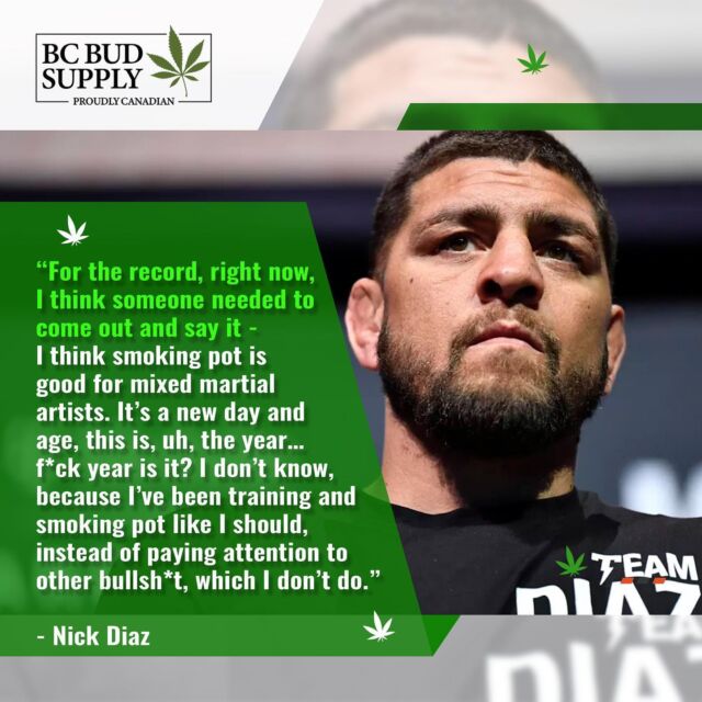 "For the record, right now, I think someone needed to come out and say it - I think smoking pot is good for mixed martial artists. It’s a new day and age, this is, uh, the year…f*ck year is it? I don’t know, because I’ve been training and smoking pot like I should, instead of paying attention to other bullsh*t, which I don’t do." -Nick Diaz⁠
⁠
#bcbudsupply #nickdiaz #stockton #mma #weedquotes #chronic #cali #weed #marijuana #bcbud #dope #pot #cannabis