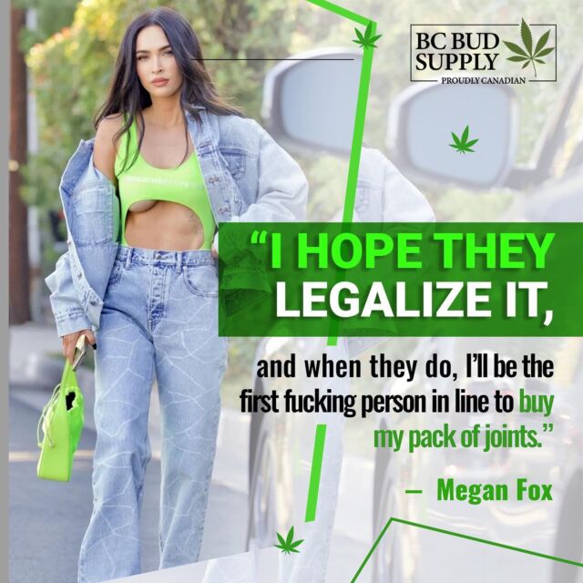 "I hope they legalize it, and when they do, I’ll be the first f*cking person in line to buy my pack of joints." -Megan Fox⁠
⁠
#bcbudsupply #meganfox #cannabis #weedchicks #budporn #bcbud #blazedbeauties #blazedbabes #meganfoxedit #weedporndaily #marijuana #meganfoxfans #weed #cannabis_cuties #cannabiscuties #mailordermarijuana #marijuanababes #meganfoxsexy