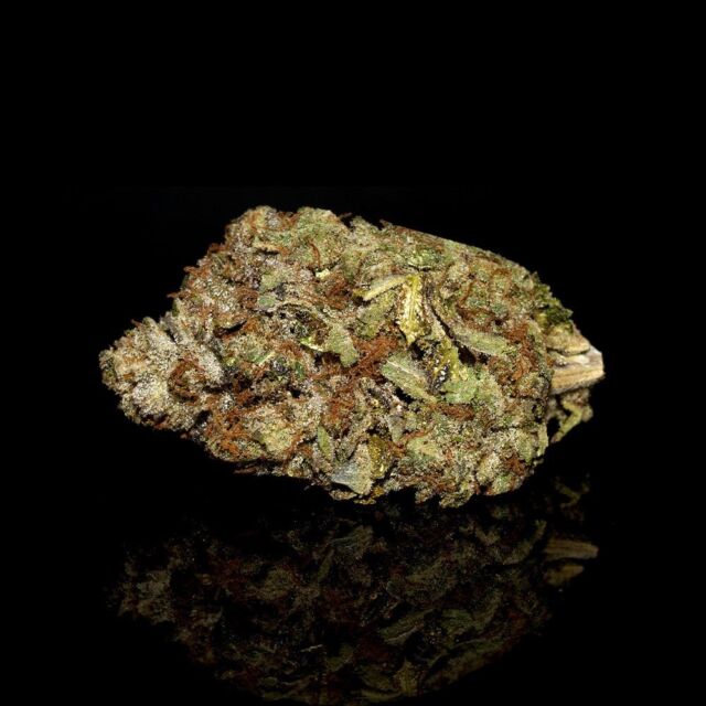 White Fire OG is a hybrid that will keep you creative, focused, and smiling. Also called “WiFi OG,” this strain gives an energized and uplifting cerebral buzz, making it a perfect daytime bud. Bred with The White and Fire OG, these densely-packed cone-shaped nuggets can help relieve pain, stress, and anxiety.⁠
⁠
#bcbudsupply #marijuanaindustry #budporn #ganjaburn #marijuanalife #blazedanddazed #smokeweed #marijuanalovers #marijuana #bcbudd #cannabis #weedporndaily #weedlovers #weeds #blazedandamused #cannabisdestiny #marijuanapictures #highaf #cannabisdaily #mailordermarijuana #cannabiscup #weed #bcbud
